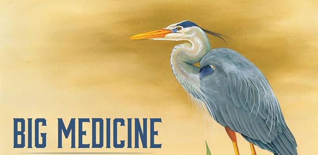 Brother Hawk: «El «Big Medicine» European Tour 2016 en el Antzokia»