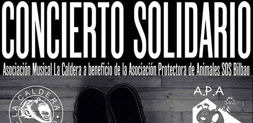 Concierto solidario a favor de los animales en Bilborock