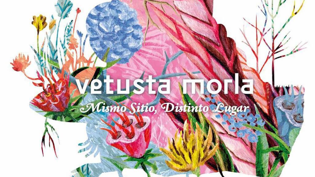 Vetusta Morla firmaran su “Mismo sitio, distinto lugar” en Bilbao