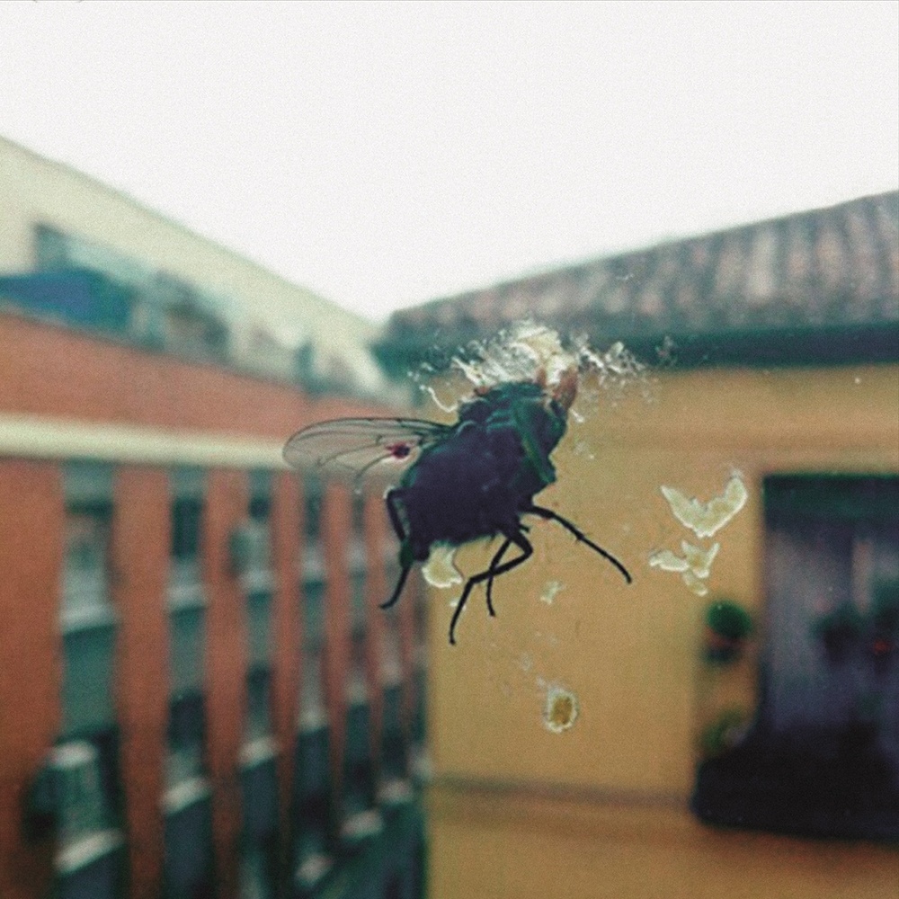 Biznaga: “Gran Pantalla” (Slovenly Recordings / Altafonte)